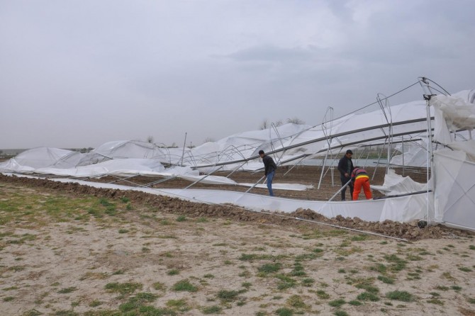 Batman’da fırtınadan zarar gören sera sakinleri yetkililere seslendi
