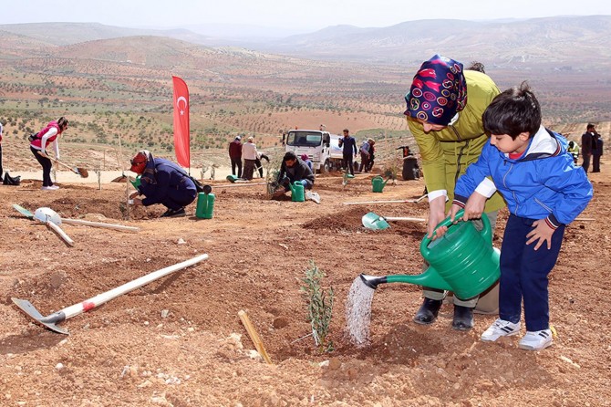 ​30 bin fidan toprakla buluşturuldu