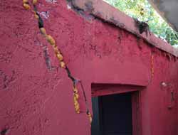 Sosyal Yardımlaşma Vakfı:"Tırak Ailesi Çatlak Evde Oturmuyor"