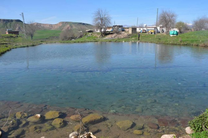 Batman'daki Balıklı Göl turizme kazandırılmayı bekliyor