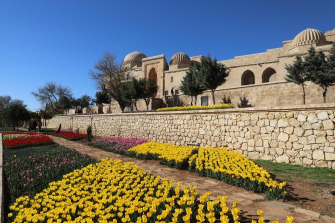 Tarihi medrese çiçeklerle süslendi