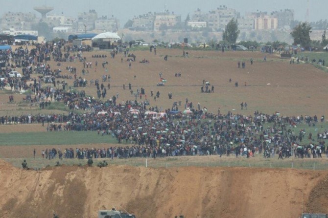 Number of martyrs rising in Palestine