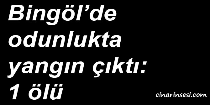 Bingöl’de odunlukta yangın çıktı: 1 ölü