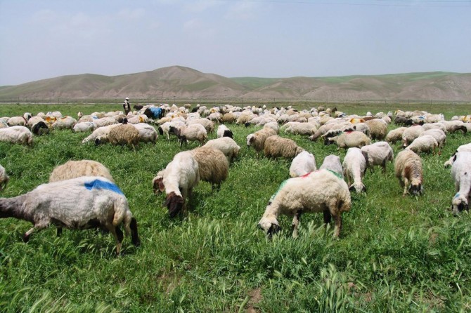 Genç çiftçi hibe başvuruları başladı