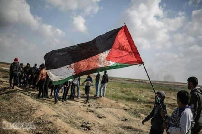 The number of martyrs in Gaza rose to 19
