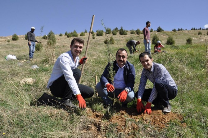 Mardin Barosundan hatıra ormanı