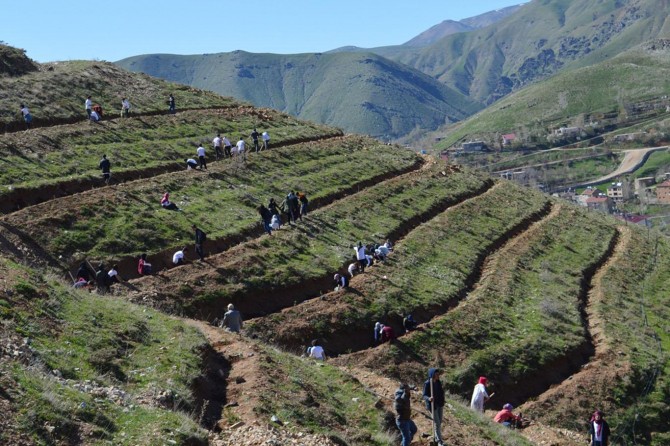 Öğrenciler fidanları toprakla buluşturdu