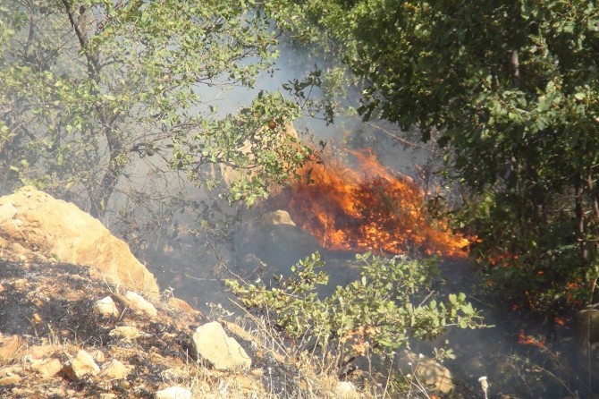 Aydos Ormanı'nda şüpheli yangınlar