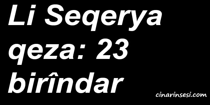 Li Seqerya qeza: 23 birîndar