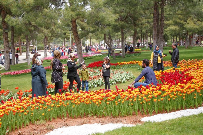 Lalelerle süslenen Dülük Tabiat Parkında bahar keyfi