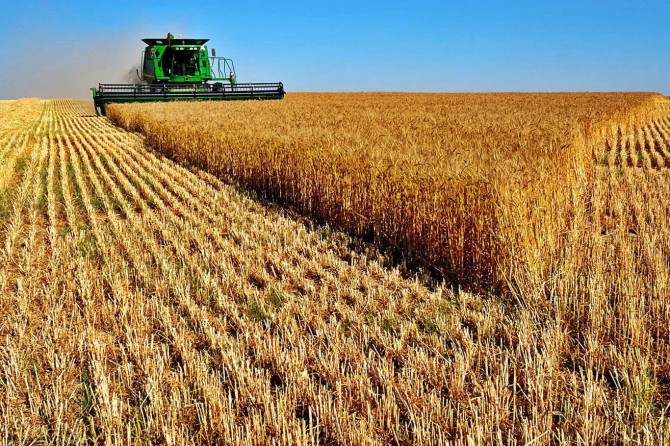 Ji bo çotkaran dest bi dayîna 2 mîlyar lîreyî hat kirin