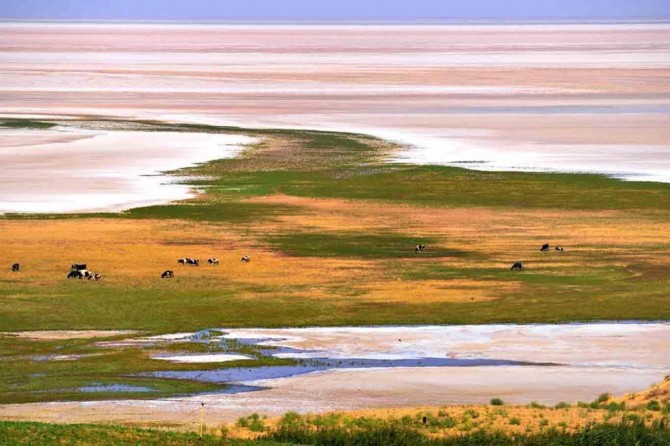 Gola Urmîye bi zûwabûnê re rû bi rû maye