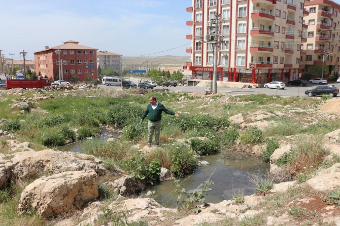 Açıktan akan lağım suyu tepki çekiyor