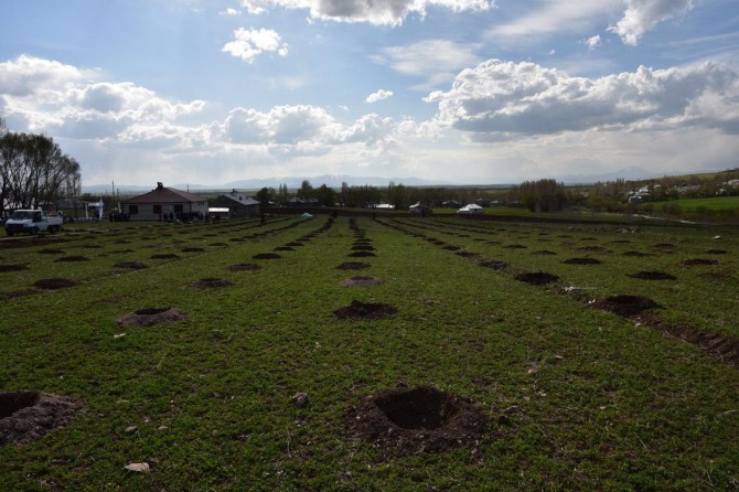 Ağrı’da Meyve Yetiştiriciliği ve Geliştirmesi projesi hayata geçti