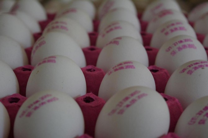 Tavuk yumurtası üretimi şubatta azaldı