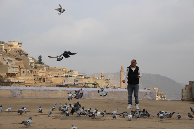 Mardin'de güvercin festivali düzenlenecek
