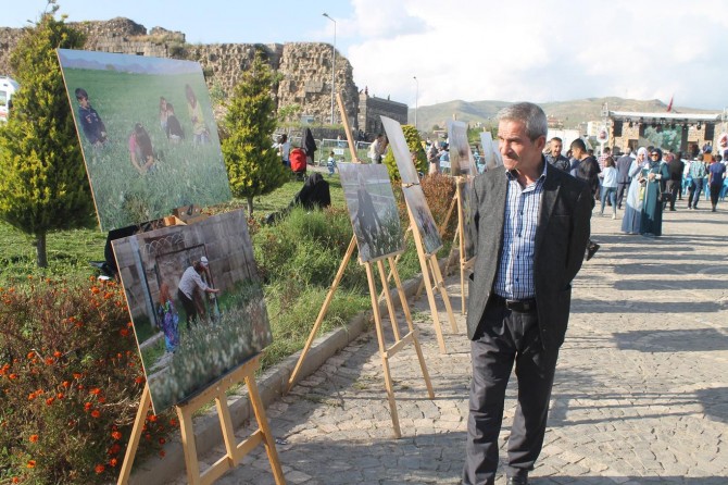 Cizre'de "Nergis Festivali" düzenlendi