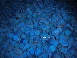 Sedika Karaynir İçin10 Binden Fazla Mavi Kapak Toplandı