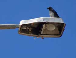 Bingöl'de Sokak Lambaları Yanmıyor