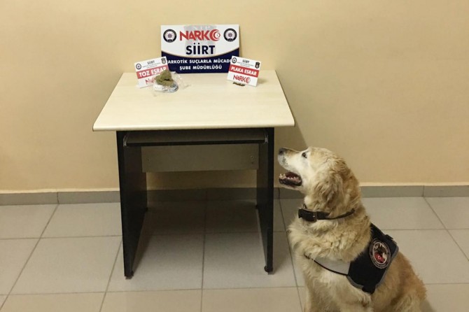 4 hırsızlık olayının zanlısı tutuklandı