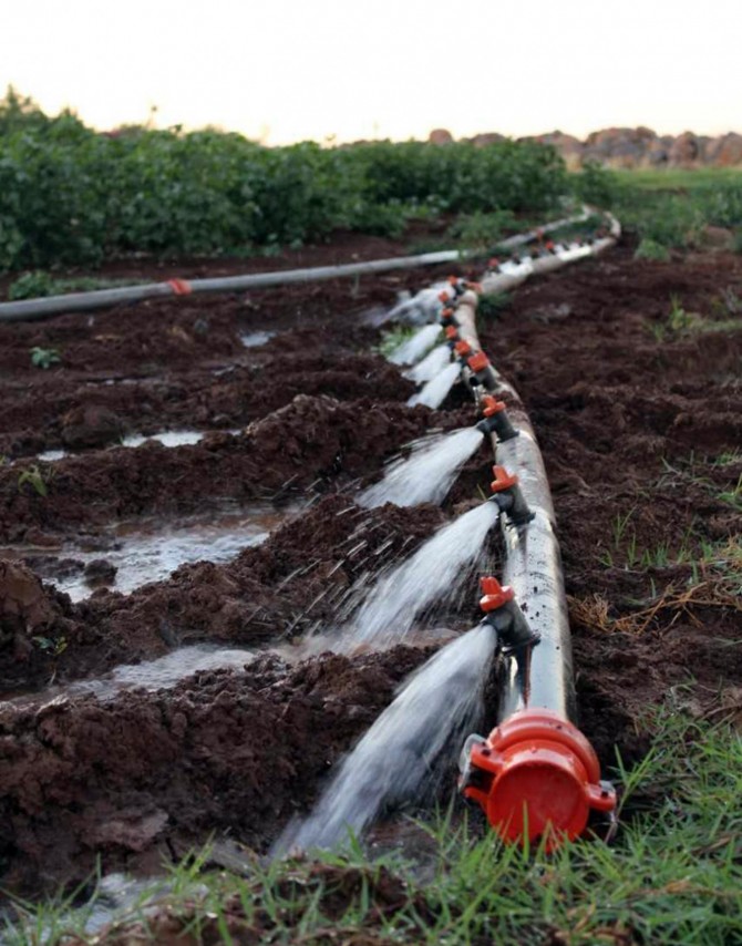 Tarımda elektrik tüketimi yüzde 260 arttı