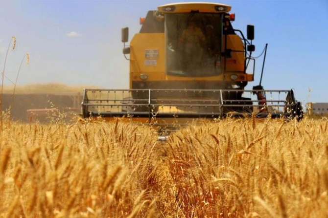 İşletmeler arazilerinin yüzde 97,1'ini tarımsal amaçlı kullandı