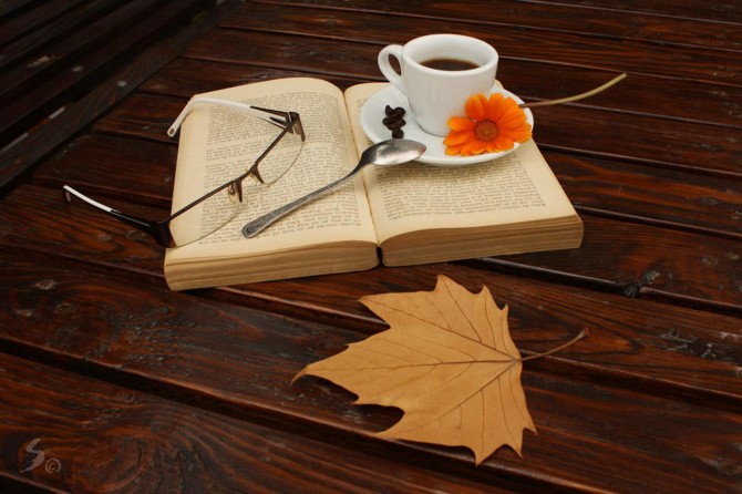 Türkiye’de üretilen kitap sayısında artış oldu