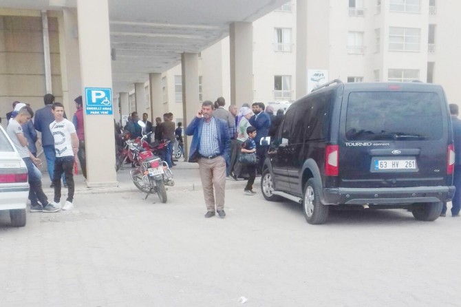 Koyun otlatma kavgası: 5 yaralı