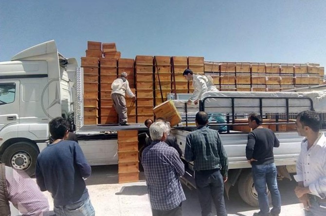 Arı yetiştiricilere arılı kovan ve malzeme dağıtımı yapıldı