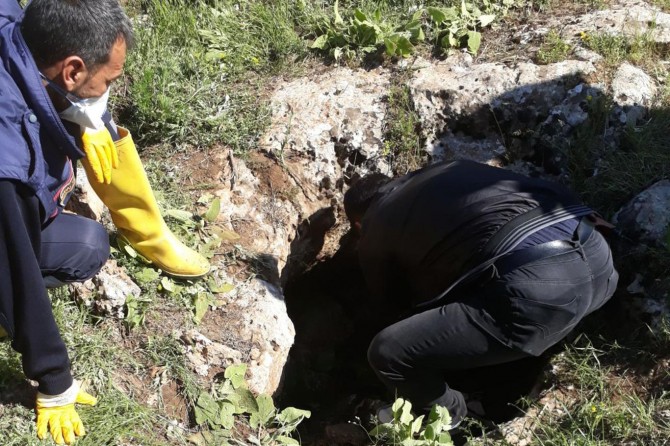 Body of missing girl found in the well