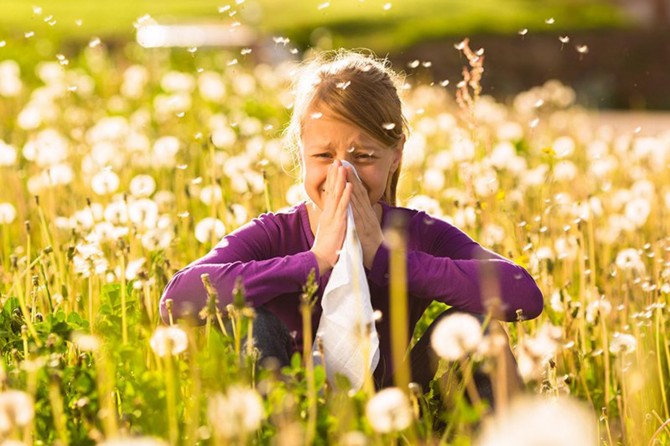 Bahar aylarında ev içerisindeki bitkiler dışarı çıkarılmalı