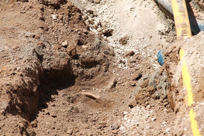Human bones unearthed during excavation