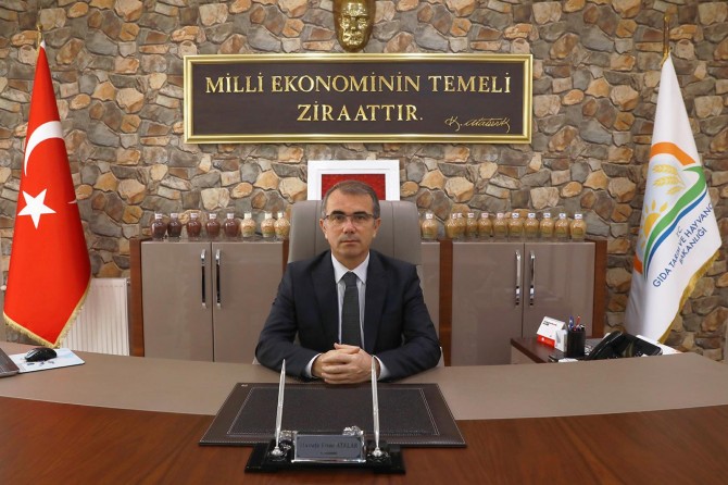 Gebe düve projesi için başvurular sürüyor