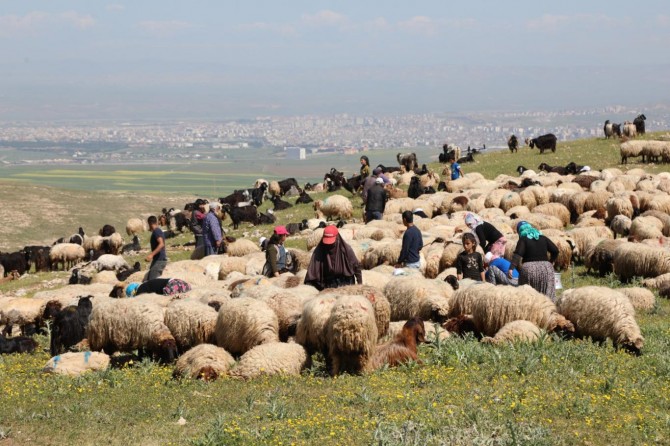 Karê Bêrîvanan yê bi zehmet