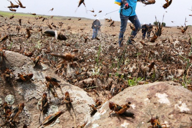 Gundê ku kulîya îstîla kir hat dermankirin
