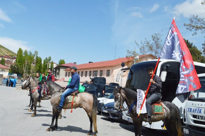 At sırtında tevhid bayraklarıyla Mevlid alanına geldiler