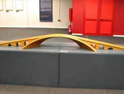 Da Vinci Köprüsüne Uluslararası Destek