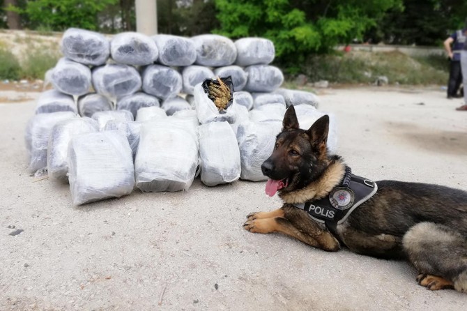 Gaziantep’te boş sebze kasalarında 210 kilo esrar ele geçirildi