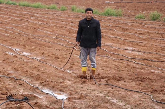 Sağanak ve dolu tarım alanlarını vurdu