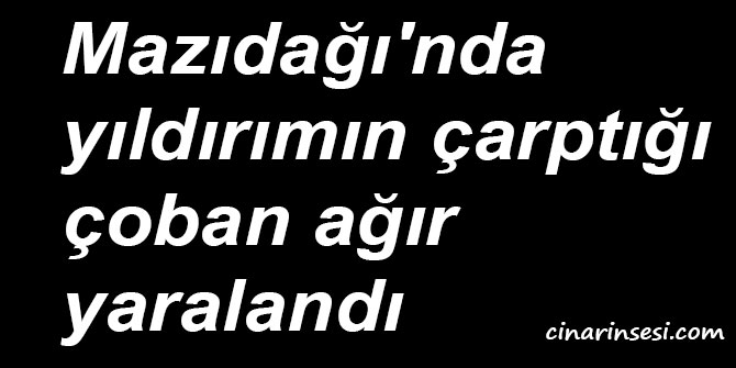 Mardin’in Mazıdağı'nda yıldırımın çarptığı İslam Öztemel ağır yaralandı