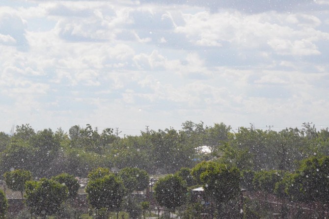 ​Diyarbakır'da güneşli havada yağış hayran bıraktı