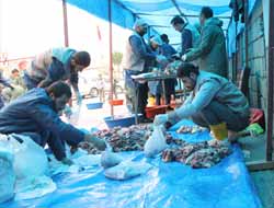 Van Peygamber Sevdalıları'ndan Toplu Kurban Kesimi