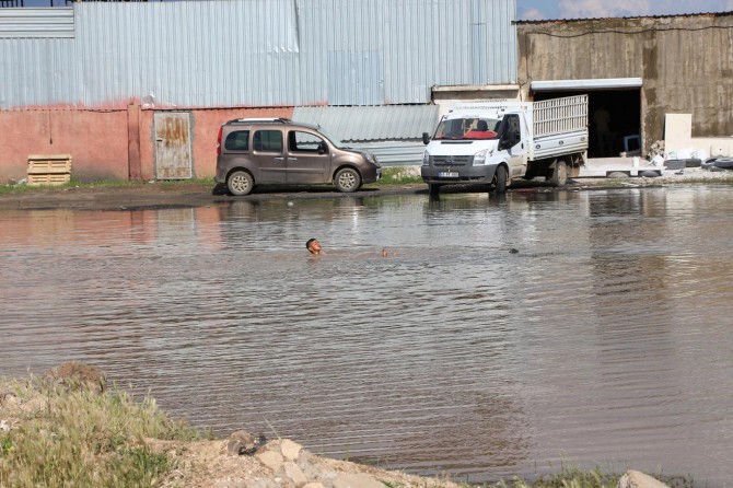 Yağmur suyunun oluşturduğu gölet tehlike saçıyor