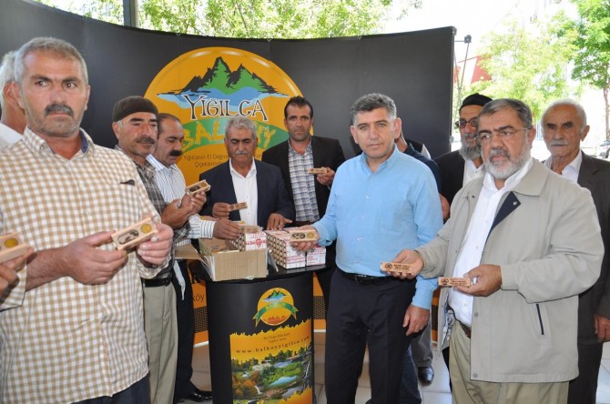 Batman’daki arıcılara 360 adet ana arı dağıtıldı