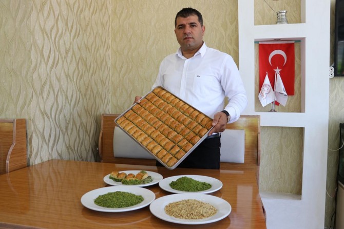 "Fıstık kayıt altına alınmalıdır"