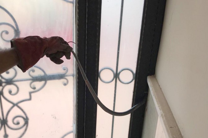 Lojman kapısına sıkışan yılan paniğe neden oldu