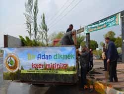 Bir Fidan Dikmek İster misiniz