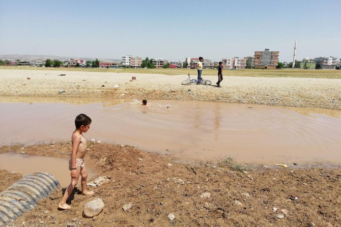 Tepkilere aldırmadan çamurlu suda yüzdüler