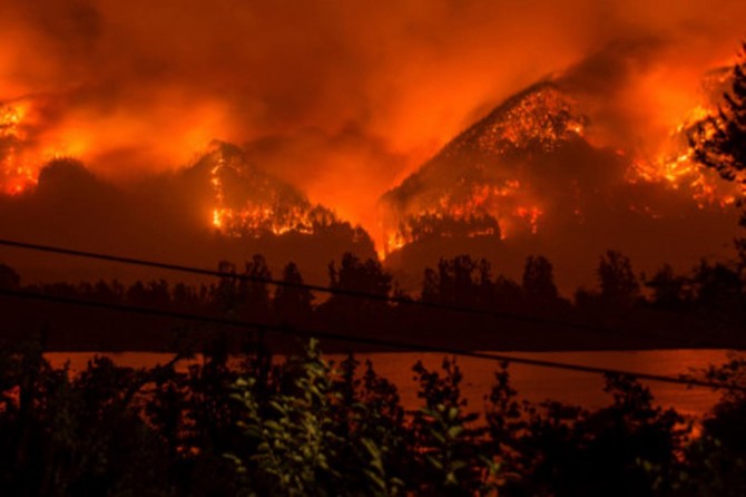 Orman yangını çıkaran çocuğa 36 milyon dolar ceza