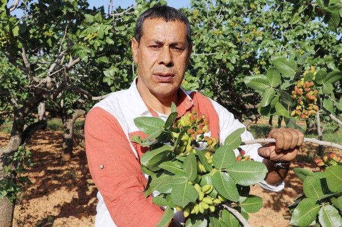 ​"Stokçuluk lisanslı depoculukla engellenir"